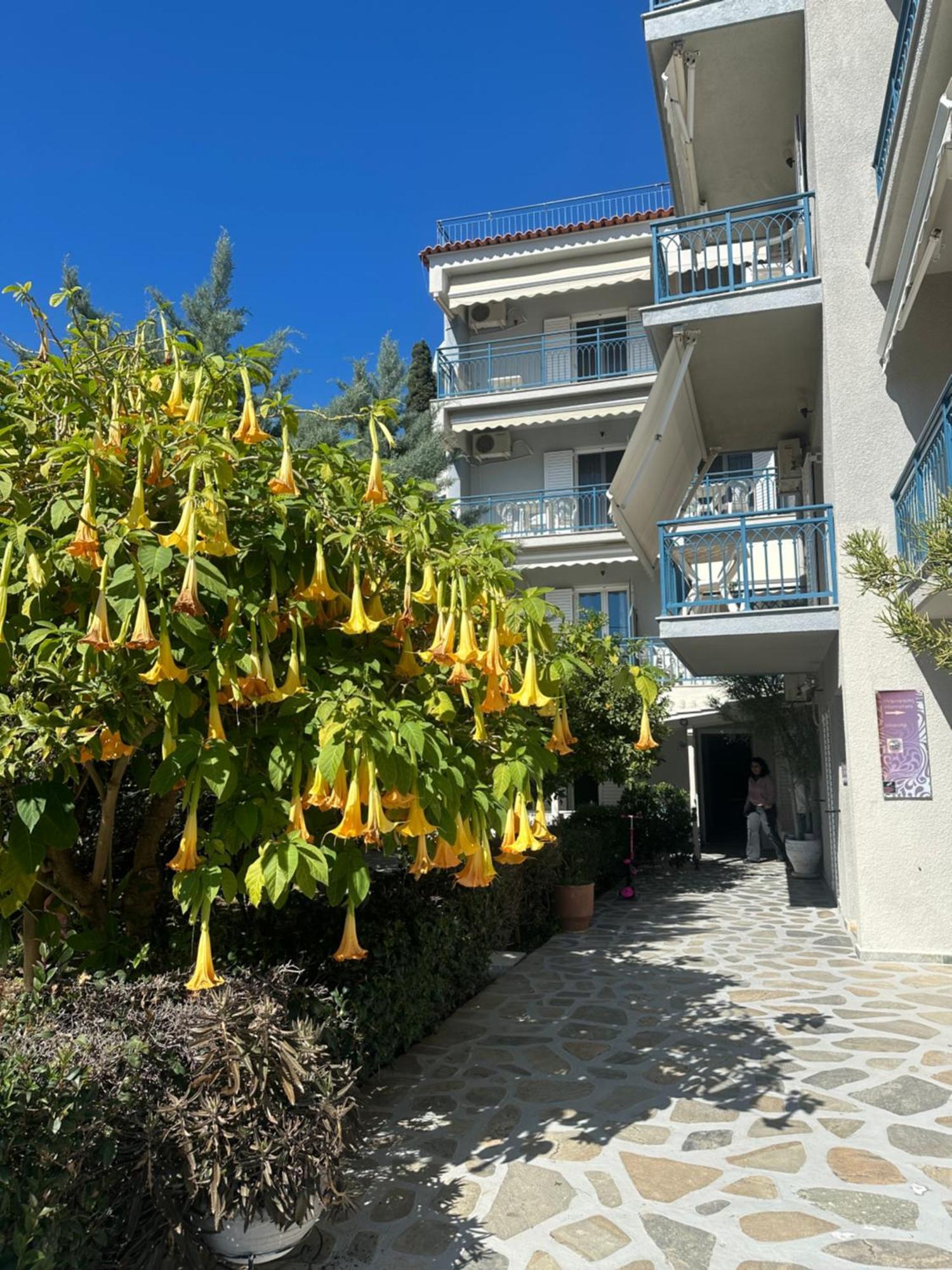 Drossinos Studios Poros Town Екстер'єр фото